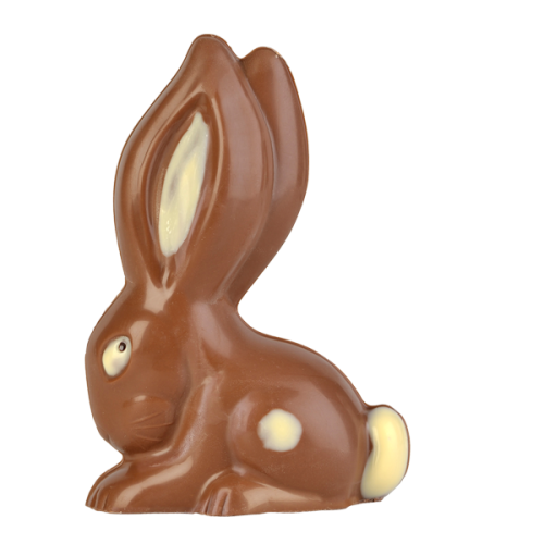 Artikelbild des Artikels “Langohr-Hase “